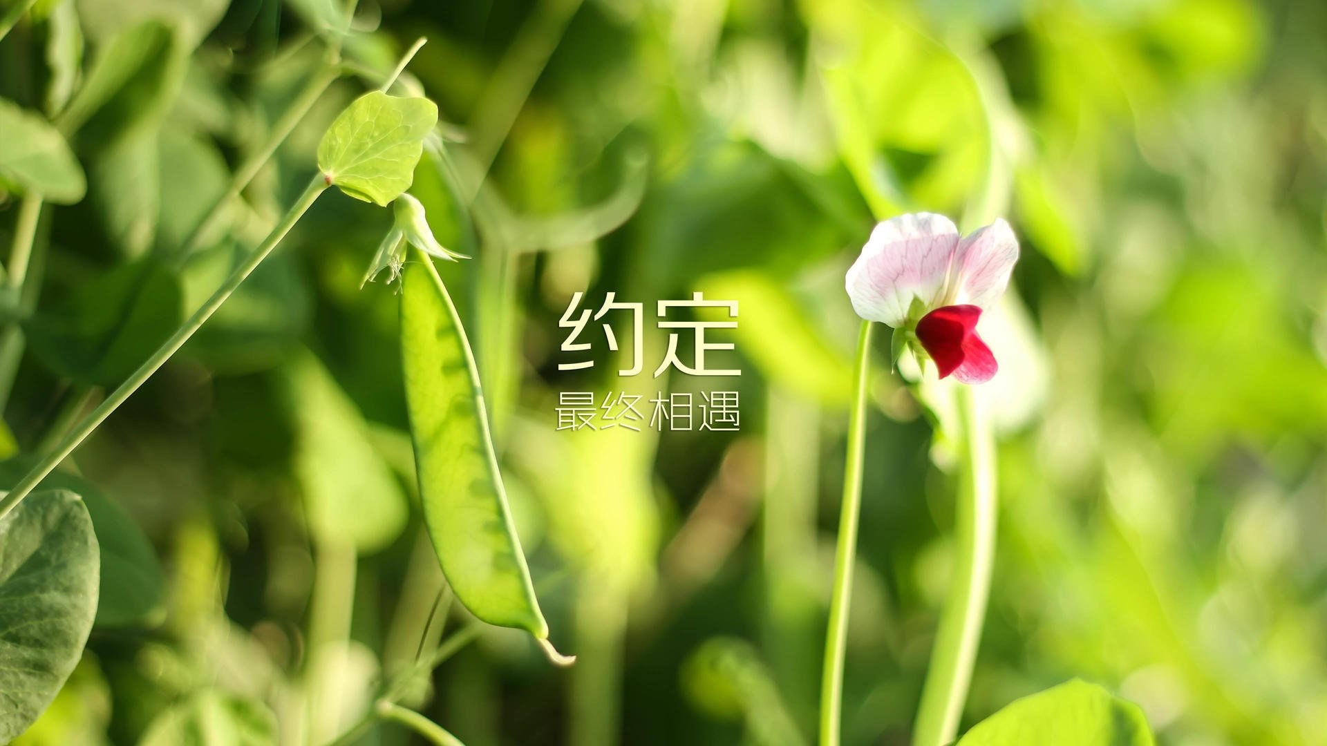 足球场馆设施智能化建设是否推进顺利，足球场馆设施智能化建设是否推进顺利完成
