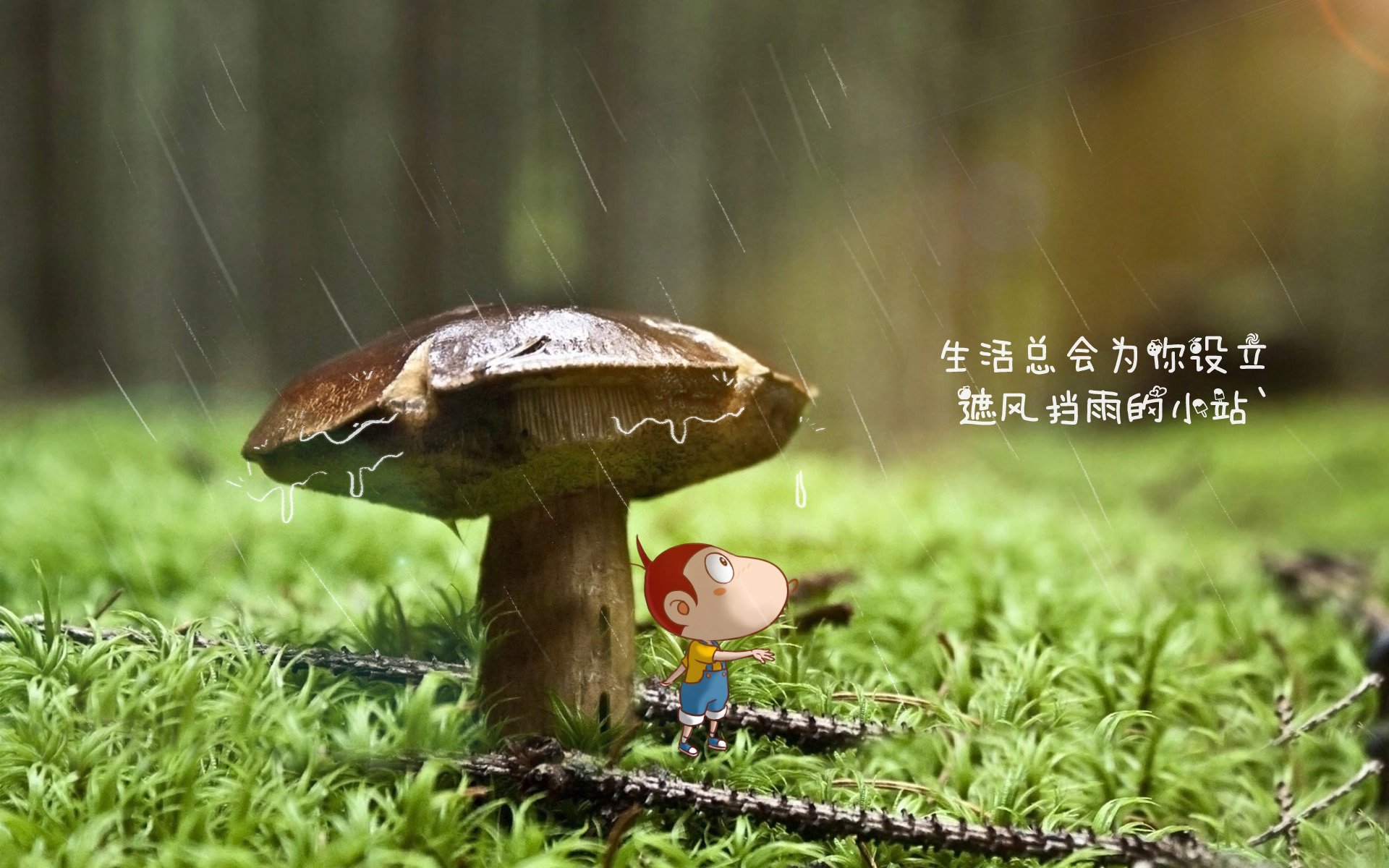非洲篮球运动员健康管理加强，非洲篮球队