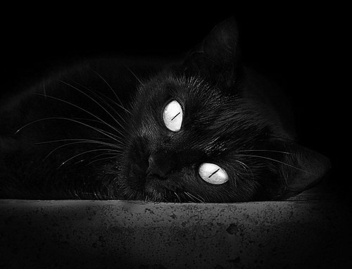 乌拉圭队士气高昂，国际赛场志在夺冠