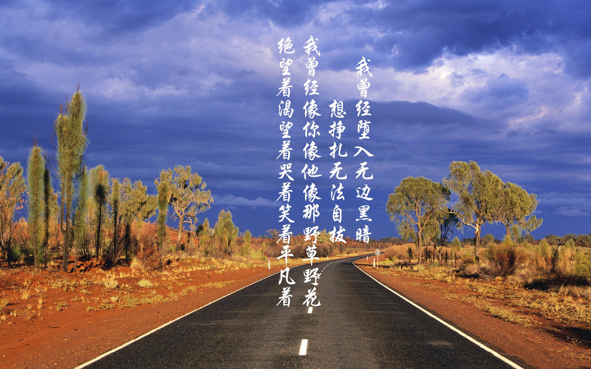 新西兰全黑队的传球速度与精准度，让对方难以应对，新西兰篮球ds