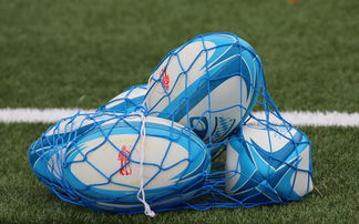 爱游戏官方-法国橄榄球赛事的票房和赞助收入创历史新高，法国橄榄球国家队