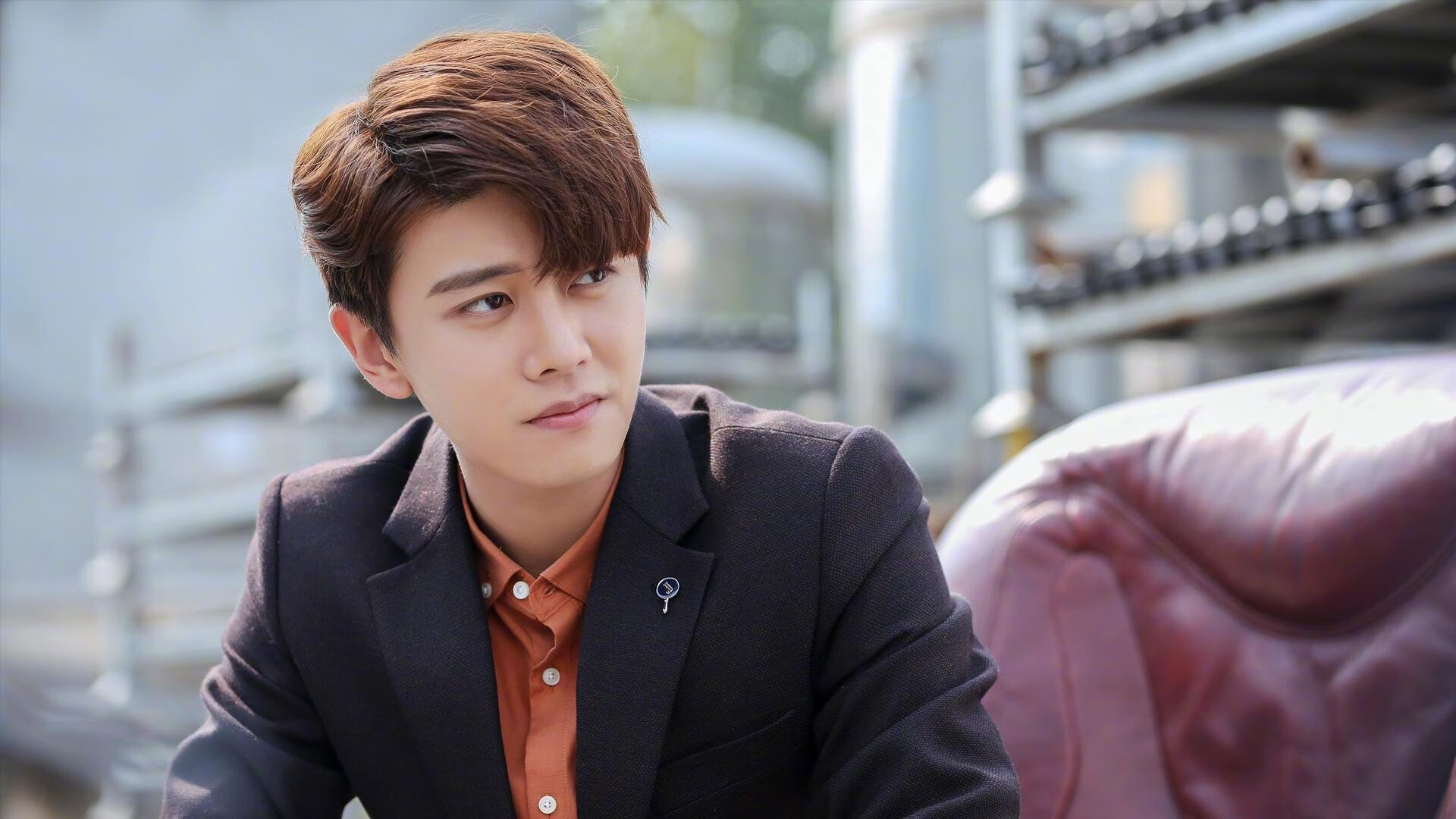 美洲杯激情飙升:明星点燃全场!,美洲杯精彩集锦