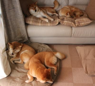 AYX体育官网-艾哈迈德冲刺阶段发力不减，艾哈迈德是姓氏吗