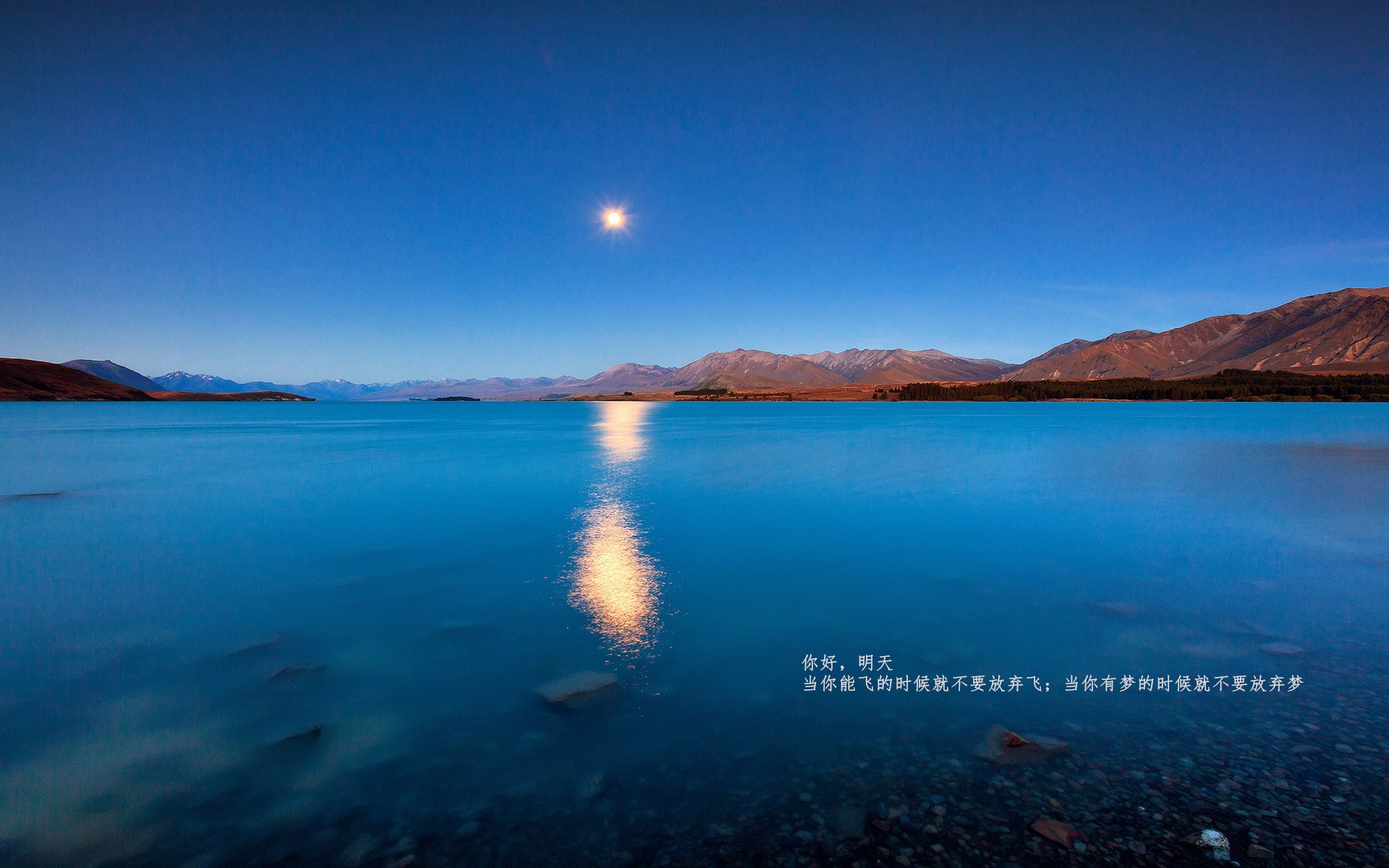 爱游戏电竞官网-跳水成绩仅次于中国，跻身世界第二，跳水第几名