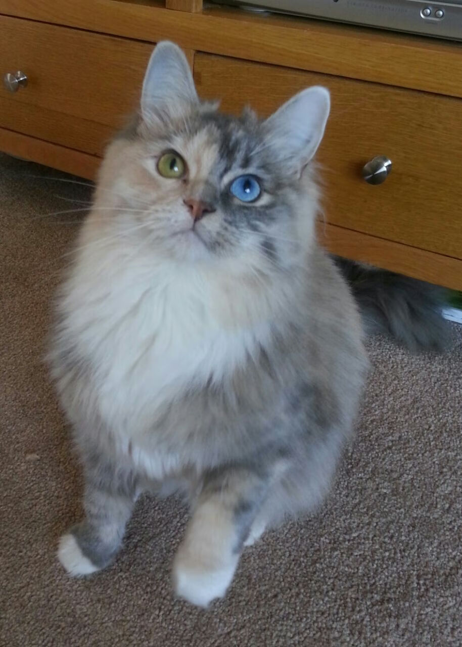 青年队球员受邀参加NBA夏季联赛获取顶级实战经验,青年队篮球